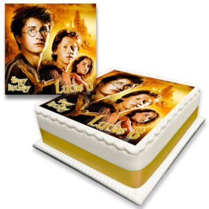 Harry Potter Birthday Cake