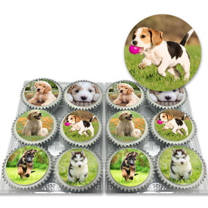 cute puppy cupcakes