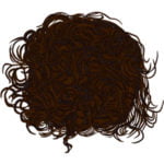 right frizzy dark brown 150x150 1