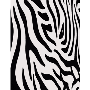 zebra print