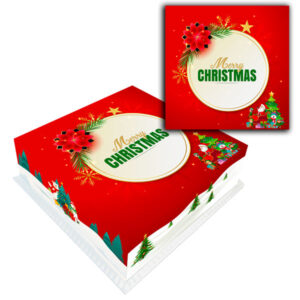 Christmas-Design-No3-Canvas-Cake